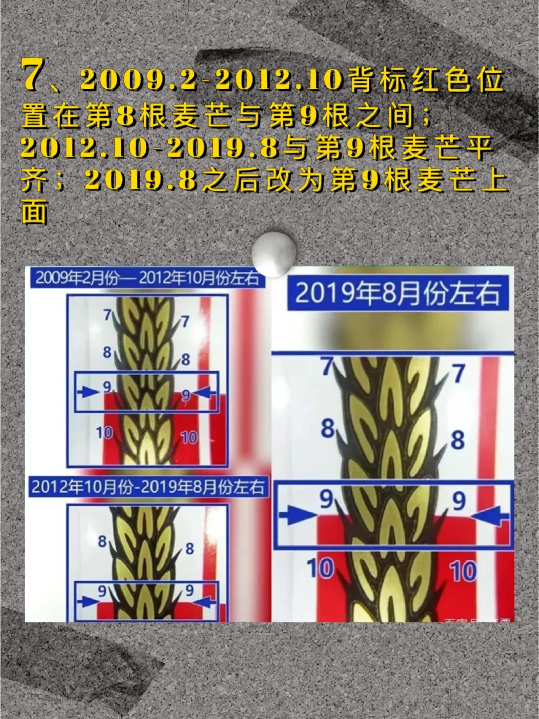 鉴别真假茅台——瓶身背标篇