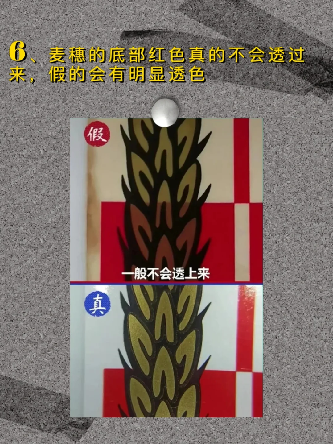 鉴别真假茅台——瓶身背标篇