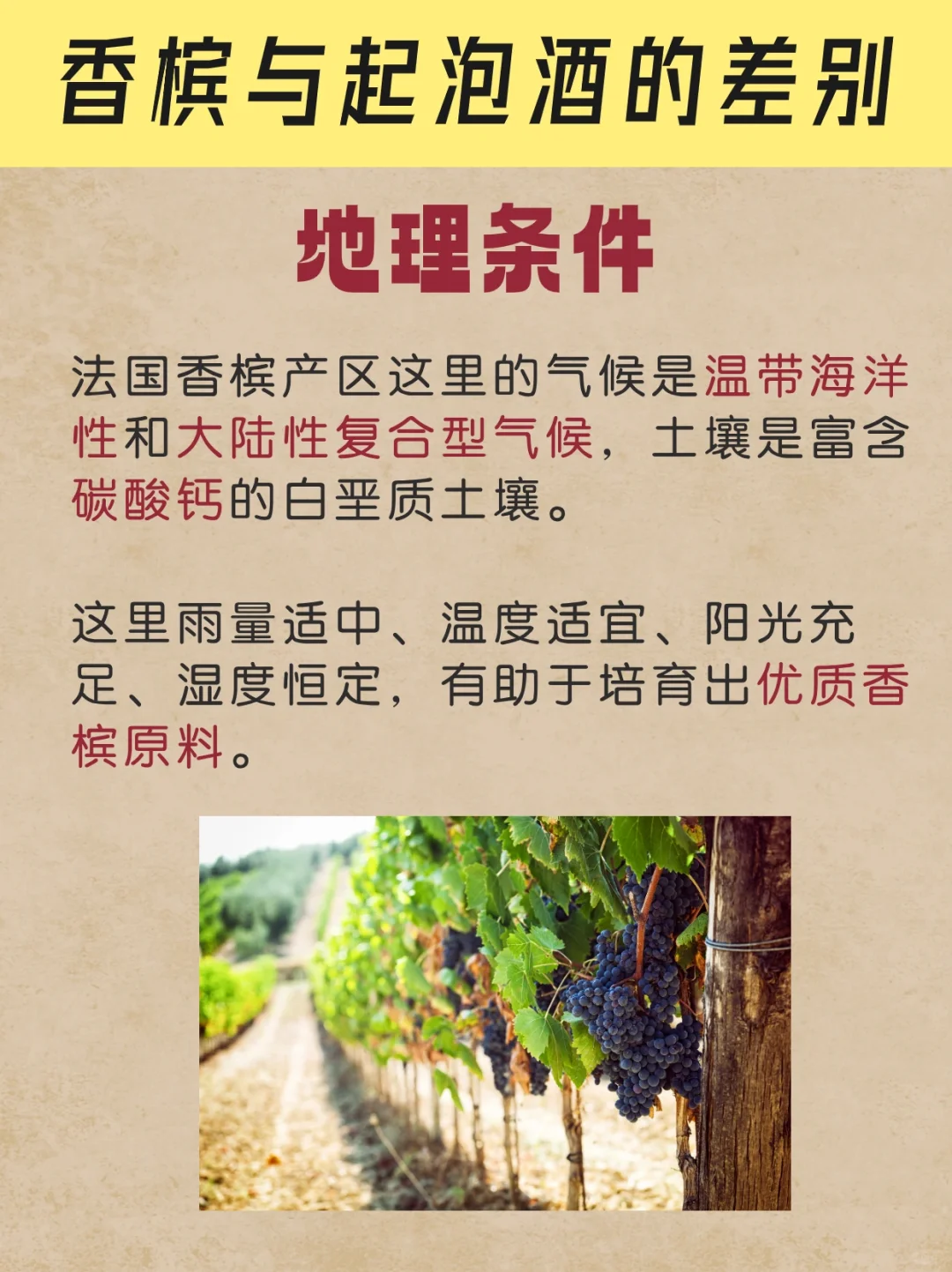 你分得清香槟和起泡酒吗？