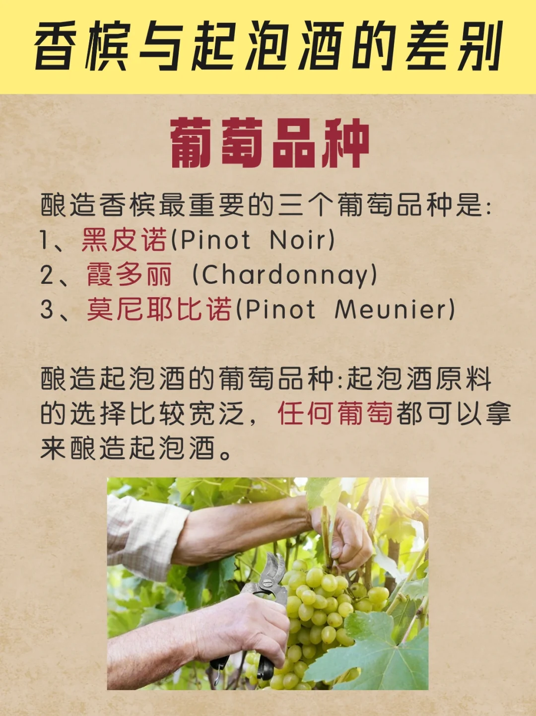 你分得清香槟和起泡酒吗？