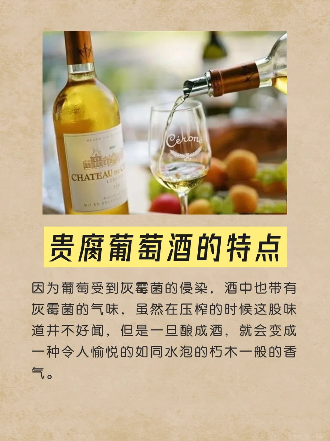 一起了解甜白葡萄酒——贵腐🥂