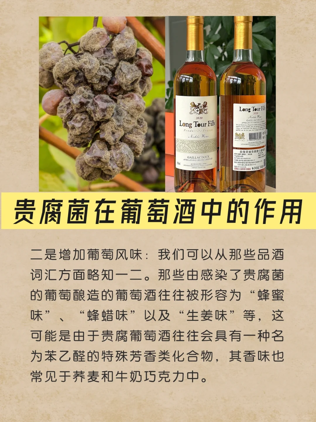 一起了解甜白葡萄酒——贵腐🥂