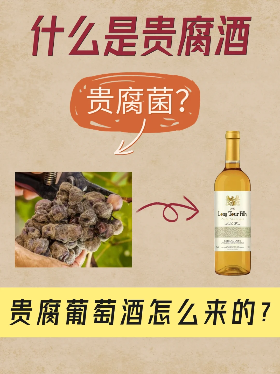 一起了解甜白葡萄酒——贵腐🥂