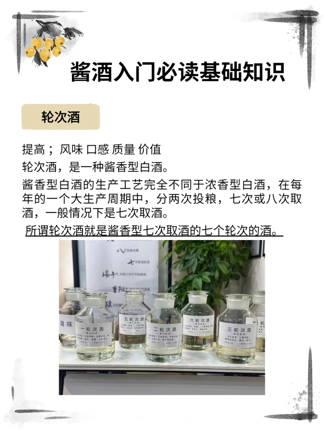 酱酒入门小知识