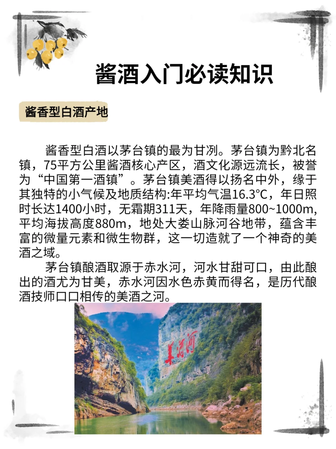 酱酒入门必读小知识