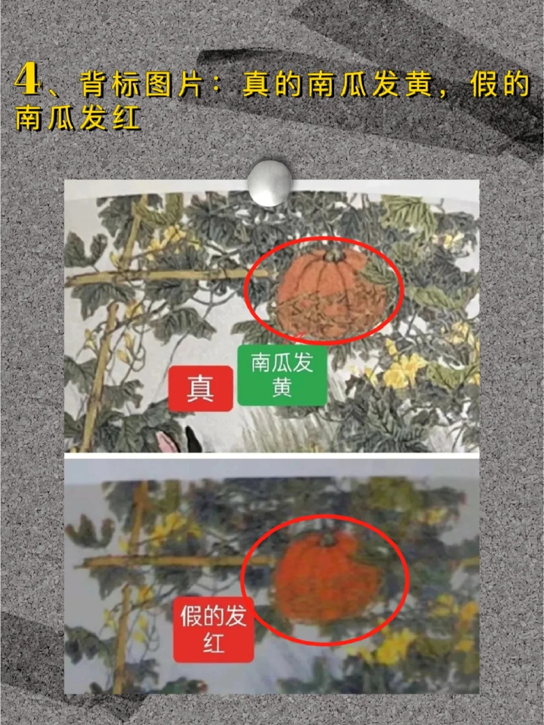 鉴别真假兔茅