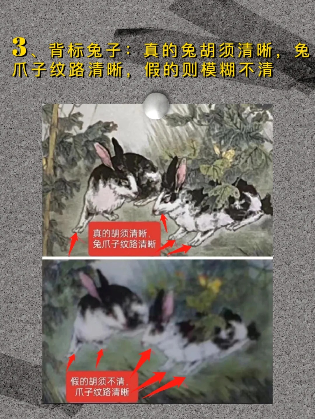 鉴别真假兔茅